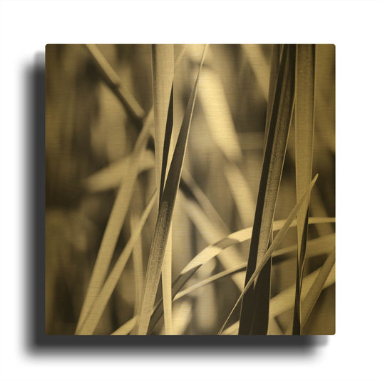 'Leaves BW 01' By Tom Quartermaine Gold Metal Wall Art