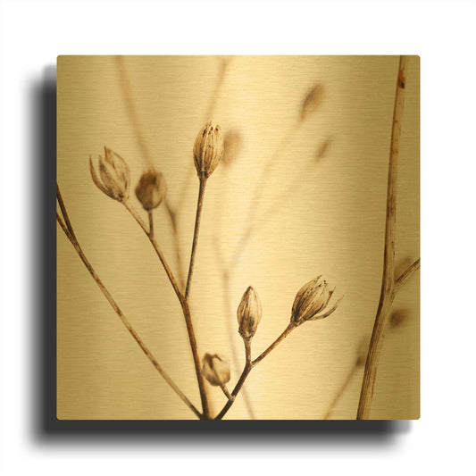 'Little Sepia Flowers' By Tom Quartermaine Gold Metal Wall Art