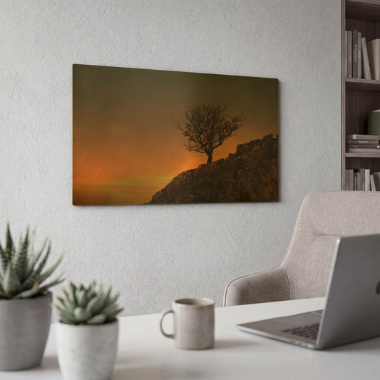 'Lone Tree in Sunset' By Tom Quartermaine Gold Metal Wall Art