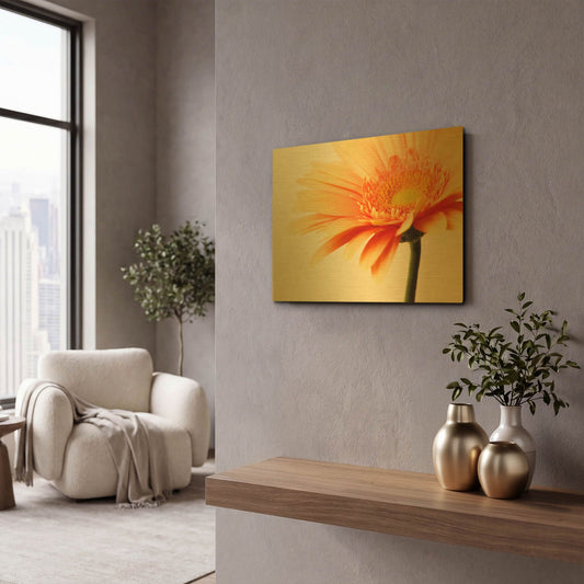 'Orange Flower on Orange' By Tom Quartermaine Gold Metal Wall Art