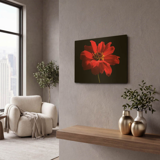 'Red Flower on Black 01' By Tom Quartermaine Gold Metal Wall Art