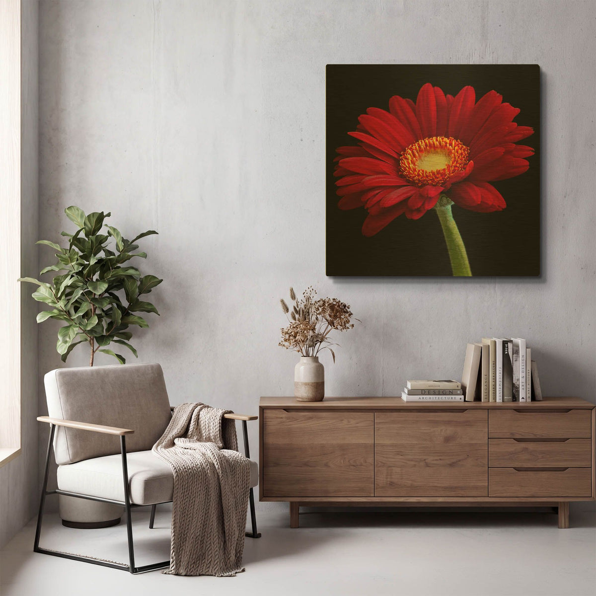'Red Gerbera on Black 01' By Tom Quartermaine Gold Metal Wall Art