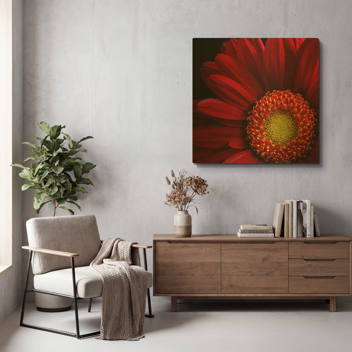 'Red Gerbera on Black 02' By Tom Quartermaine Gold Metal Wall Art