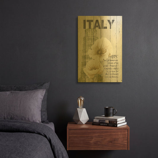 'Italy Poppies' By Alicia Soave Gold Metal Wall Art