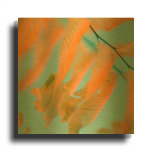 'Fern Dance 1' By Judy Stalus Gold Metal Wall Art