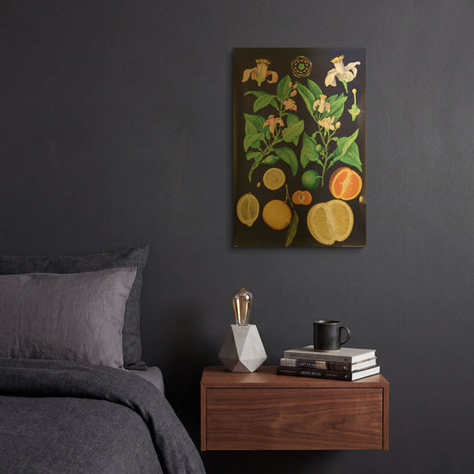 'Citrus' By Vintage Posters Gold Metal Wall Art