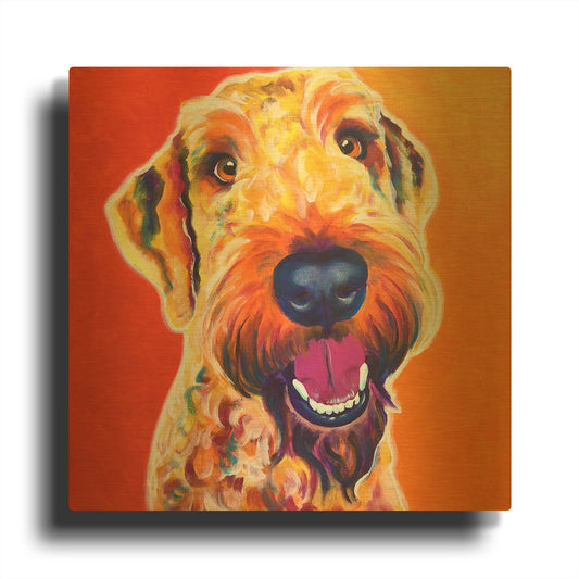 'Airedoodle - Hank' By Dawg Painter Gold Metal Wall Art