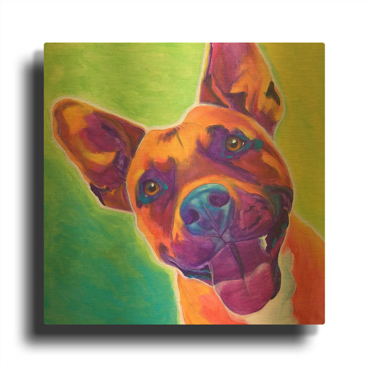 'Pit Bull - Billy' By Dawg Painter Gold Metal Wall Art