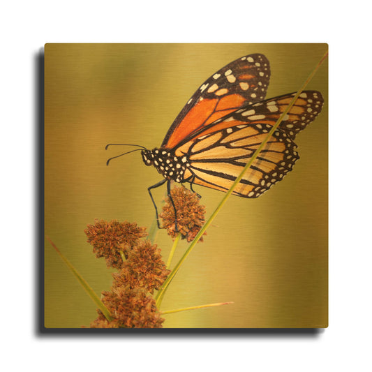 'Buffalo River 2023 08' By Gordon Semmens Gold Metal Wall Art