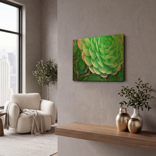'Succulents IV' By Dennis Frates Gold Metal Wall Art