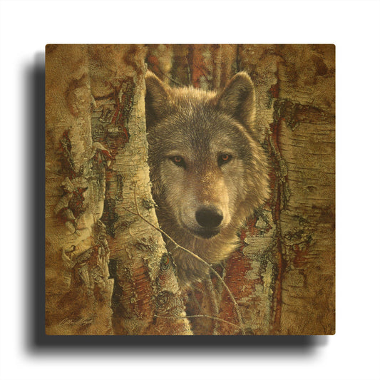 'Wolf Spirit' By Collin Bogle Gold Metal Wall Art