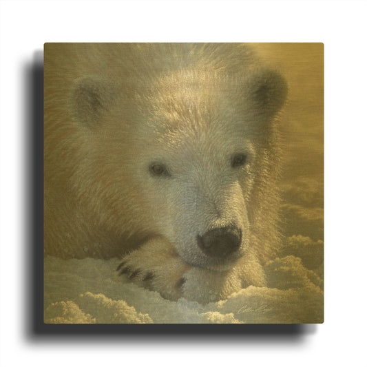 'Polar Bear Cub' By Collin Bogle Gold Metal Wall Art
