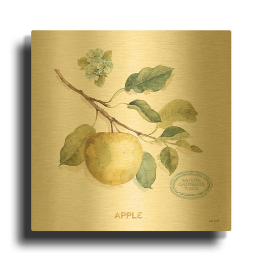 'My Greenhouse Fruit IV' By Lisa Audit Gold Metal Wall Art
