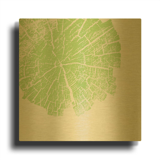 'Lime Slice' By Linda Woods Gold Metal Wall Art