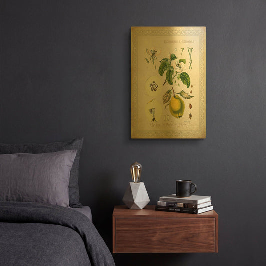 'Cydonia Vularis Pers' By Jean Plout Gold Metal Wall Art