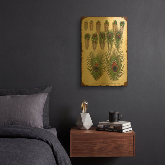 'Vintage Feather Study I' By Jean Plout Gold Metal Wall Art