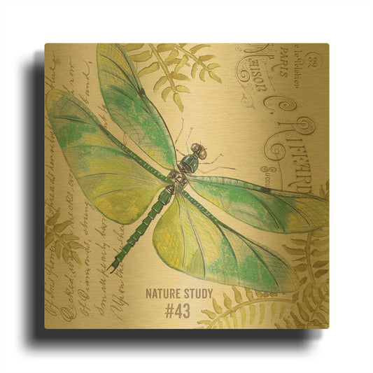 'Botanical Dragonfly 1' By Jean Plout Gold Metal Wall Art