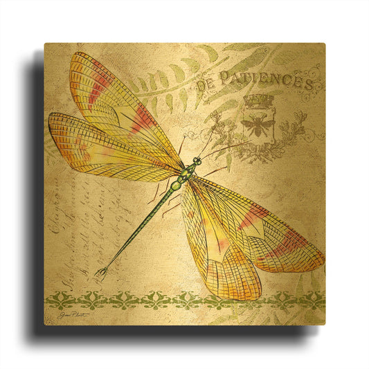 'Dragonfly Daydreams 4' By Jean Plout Gold Metal Wall Art