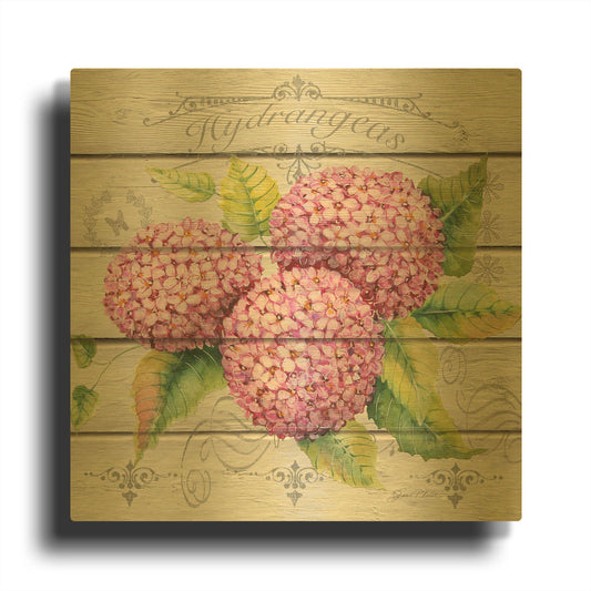 'Pink Hydrangeas' By Jean Plout Gold Metal Wall Art