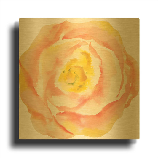 'Washy Rose' By Jean Plout Gold Metal Wall Art