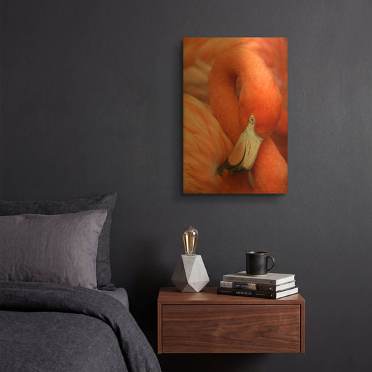 'Flamingo Closeup 9801' By Mike Jones Gold Metal Wall Art