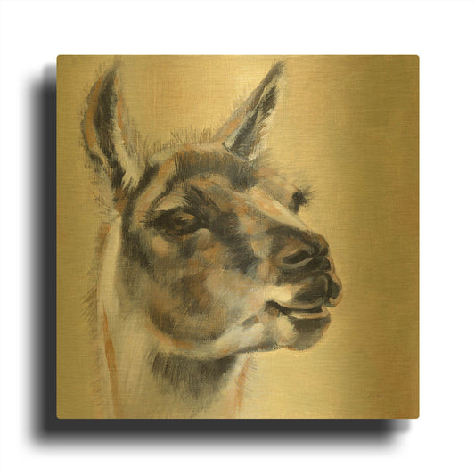 'Llama Portrait' By Silvia Vassileva Gold Metal Wall Art