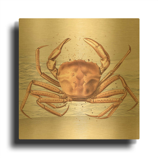 'Sandcritter 1' By Karen Smith Gold Metal Wall Art
