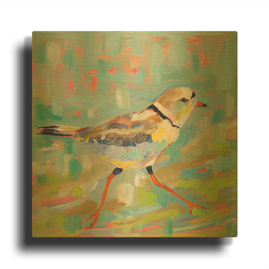 'Coastal Plover I' By Jeanette Vertentes Gold Metal Wall Art