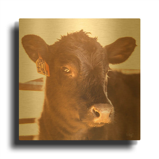 'Baby Cow I' By Donnie Quillen Gold Metal Wall Art