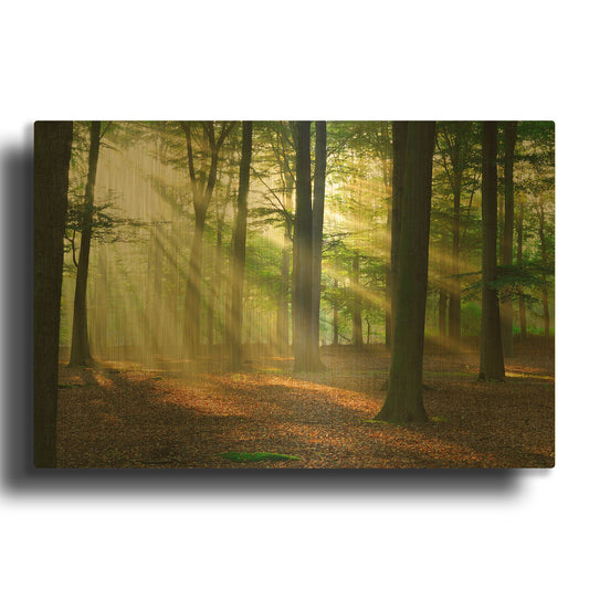 'Rays of Light,' By LUXE Gold Metal Wall Art