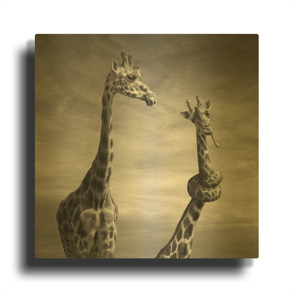 'Twisted Sister' By Dariusz Klimczak Gold Metal Wall Art
