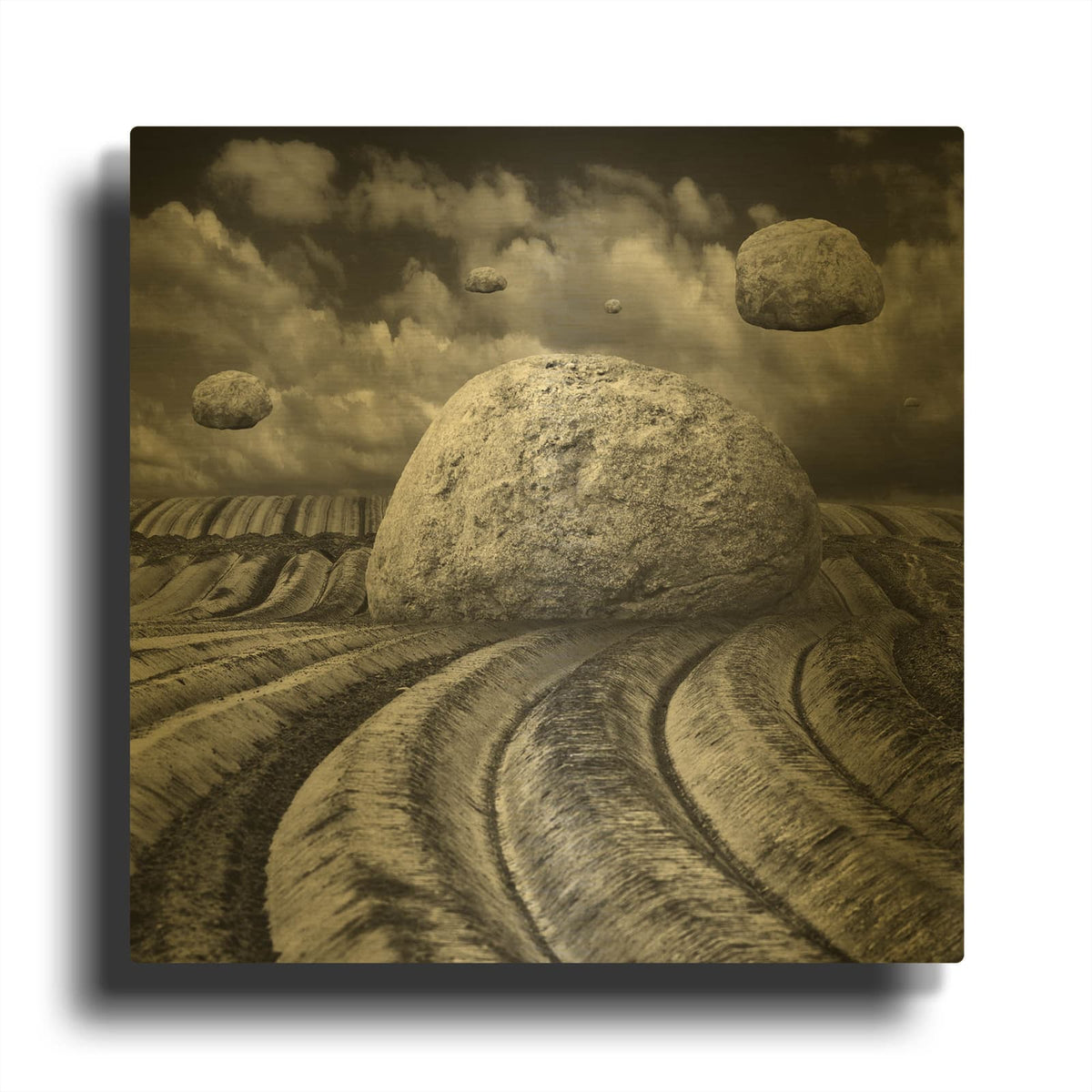 'Unharvested' By Dariusz Klimczak Gold Metal Wall Art