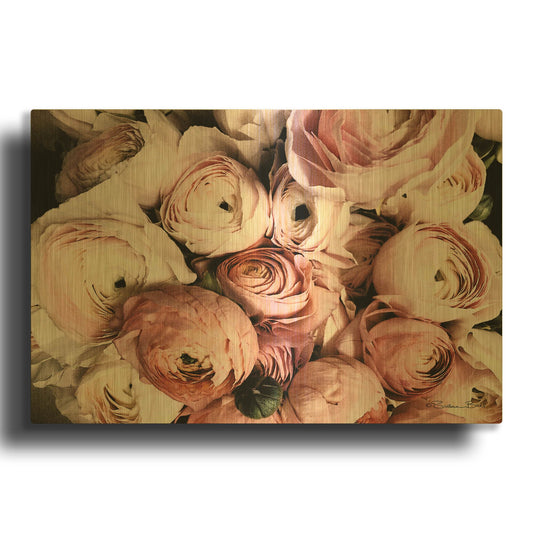 'Coral Ranunculus' By Susan Ball Gold Metal Wall Art