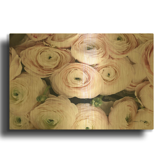 'Soft Pink Ranunculus' By Susan Ball Gold Metal Wall Art