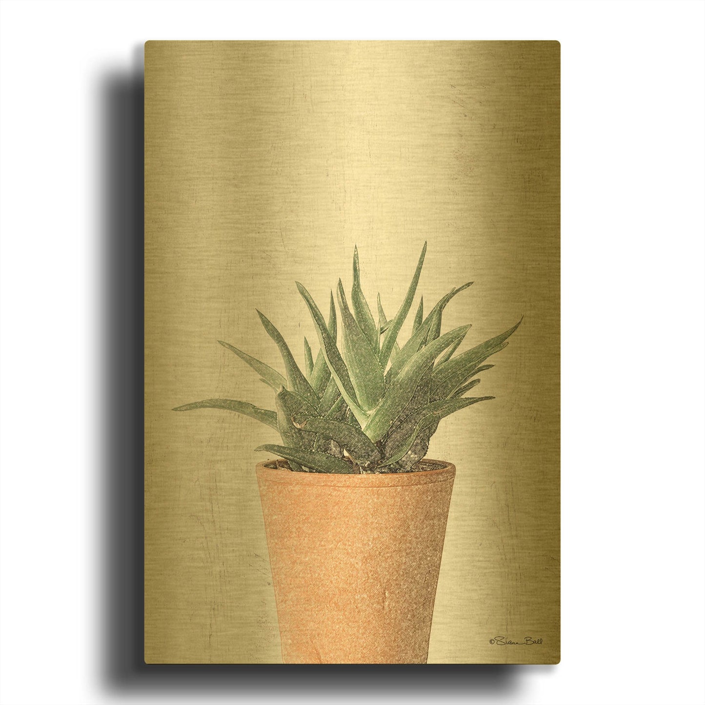 'Succulents I' By Susan Ball Gold Metal Wall Art