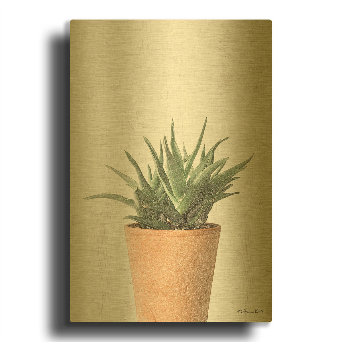 'Succulents I' By Susan Ball Gold Metal Wall Art