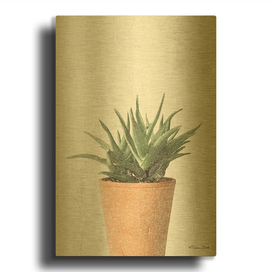 'Succulents I' By Susan Ball Gold Metal Wall Art