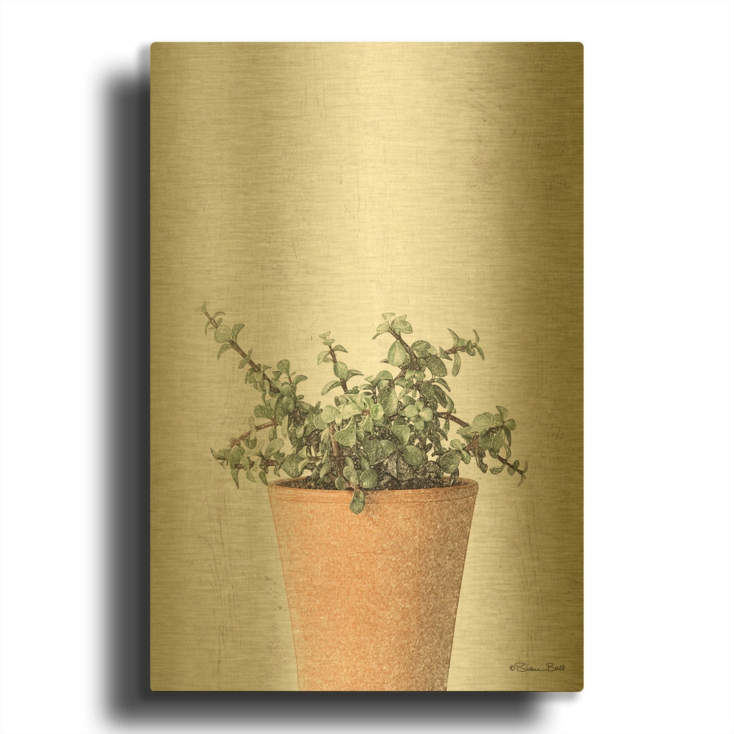 'Succulents II' By Susan Ball Gold Metal Wall Art