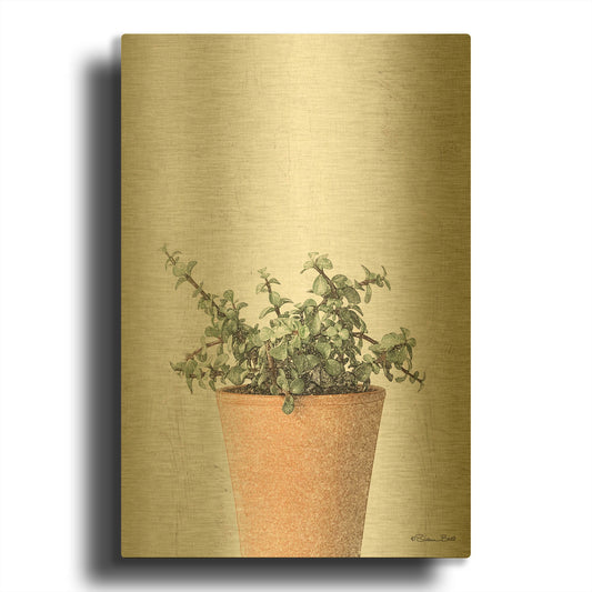 'Succulents II' By Susan Ball Gold Metal Wall Art
