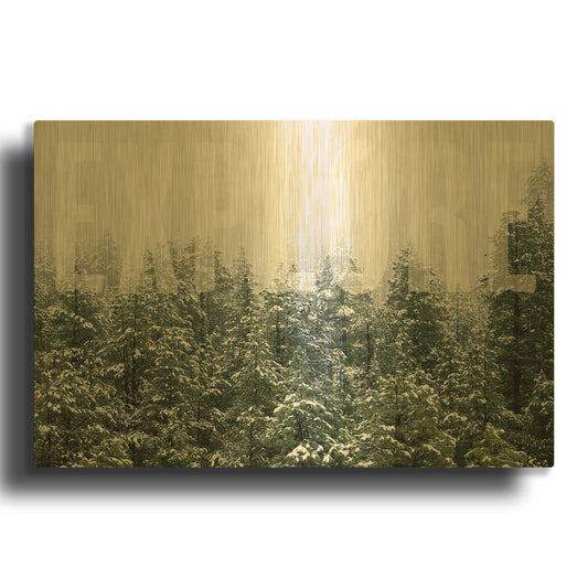 'Explore' By Susan Ball Gold Metal Wall Art