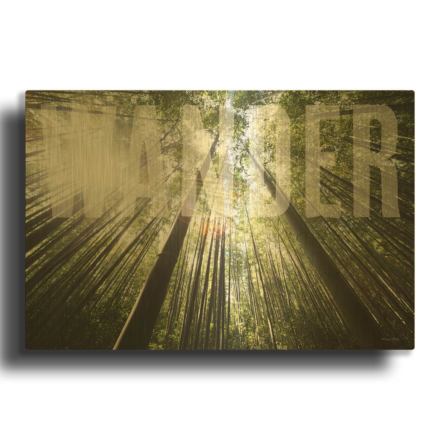 'Wander' By Susan Ball Gold Metal Wall Art