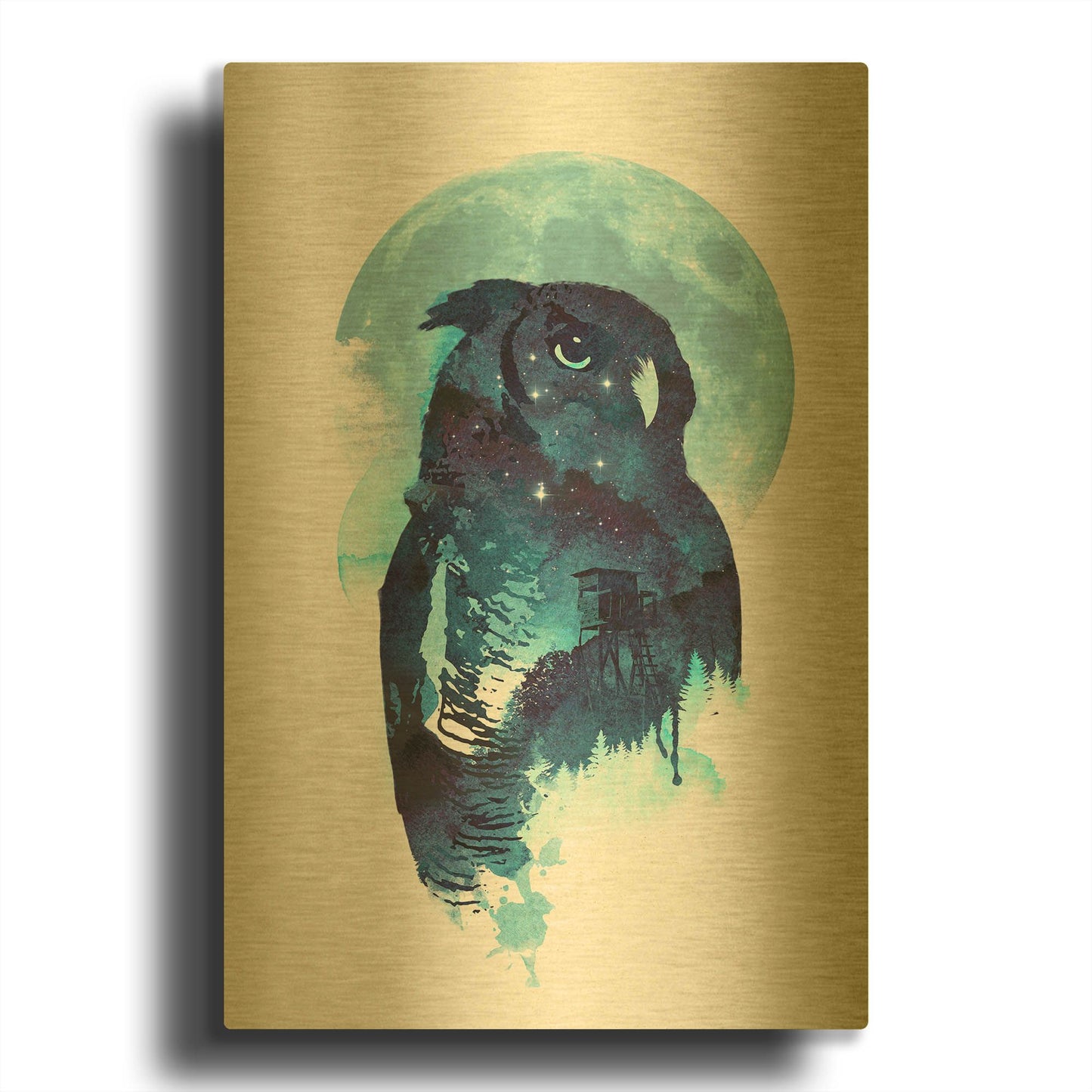 'Midnight Owl' By Robert Farkas Gold Metal Wall Art
