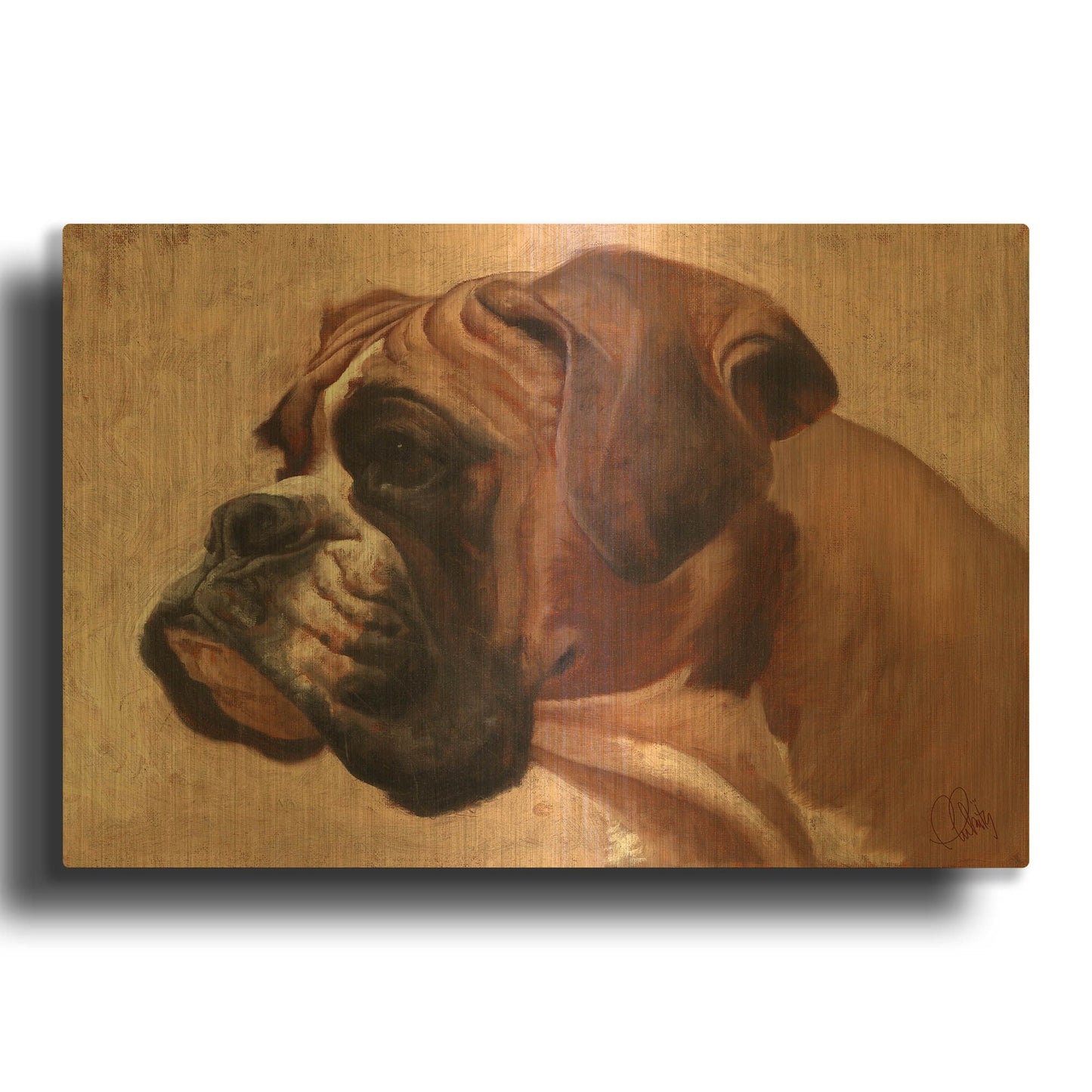 'Boxer' By Thomas Fluharty Gold Metal Wall Art