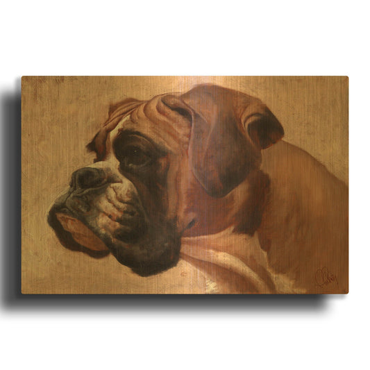 'Boxer' By Thomas Fluharty Gold Metal Wall Art
