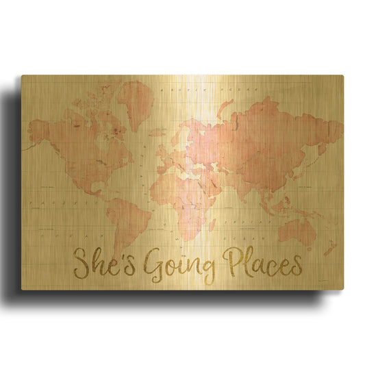 'Across the World Shes Going Places Pink' By Sue Schlabach Gold Metal Wall Art