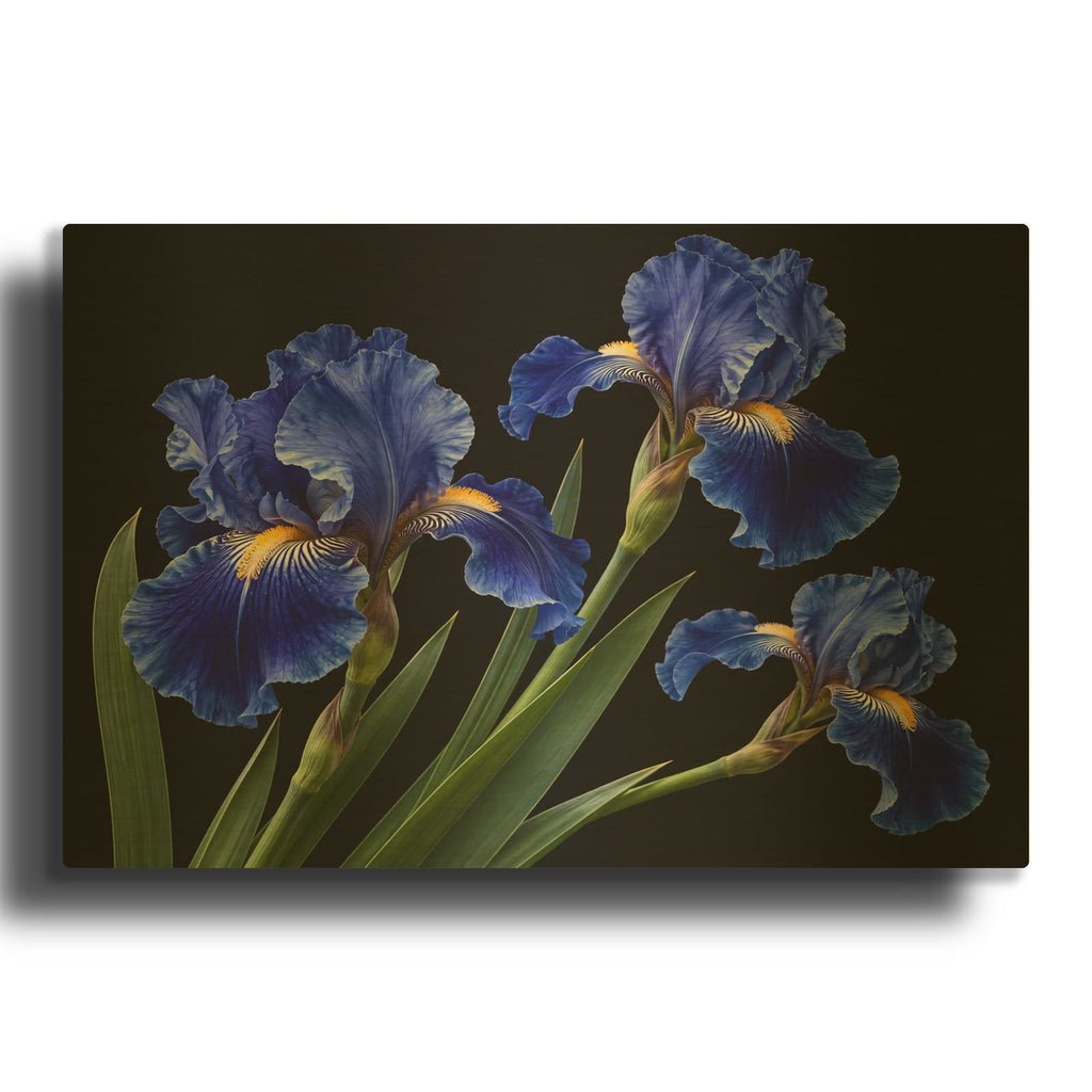 'Blue Irises at Midnight' By Veve Gold Metal Wall Art