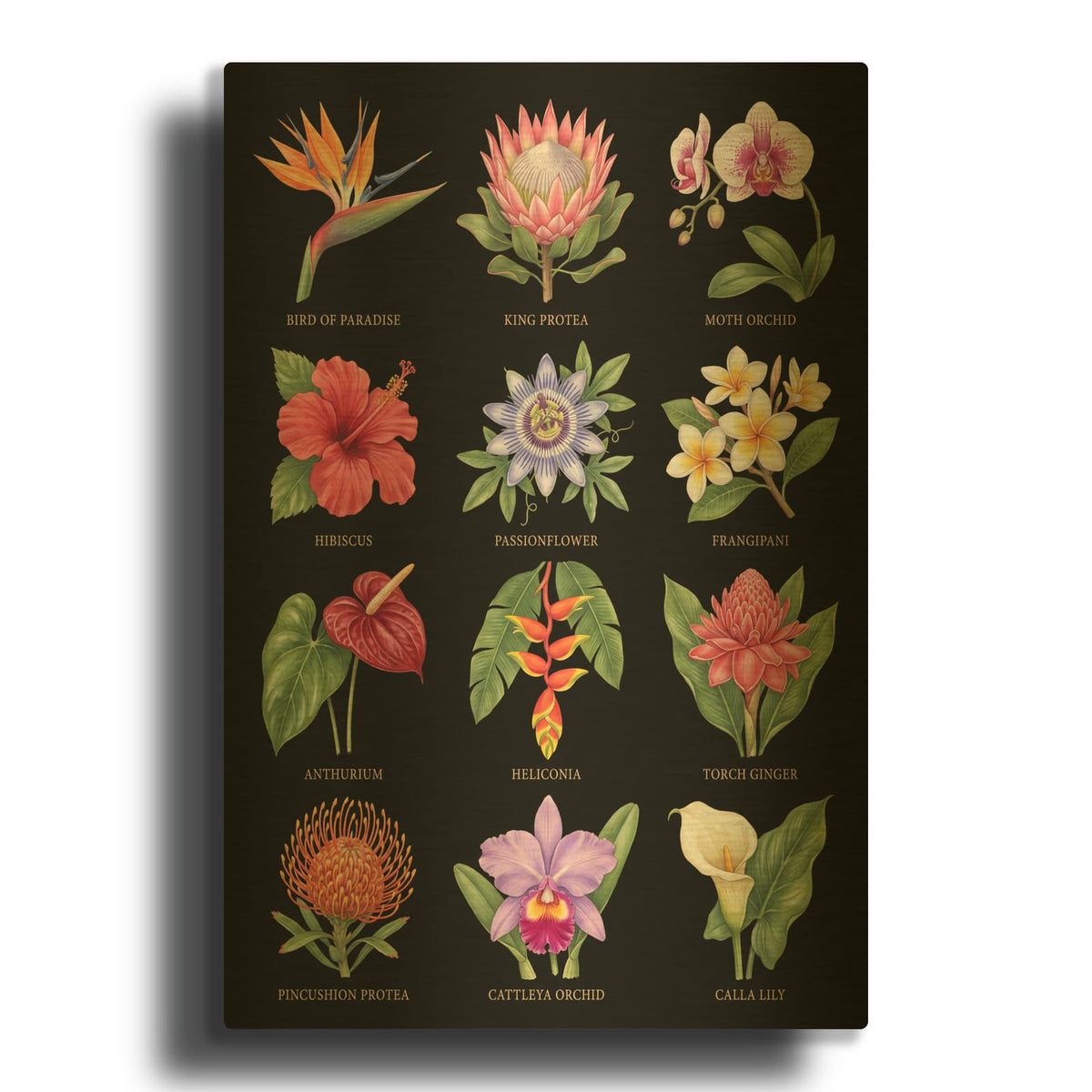 'Exotic Blooms - Tropical Flower Collection' By Veve Gold Metal Wall Art