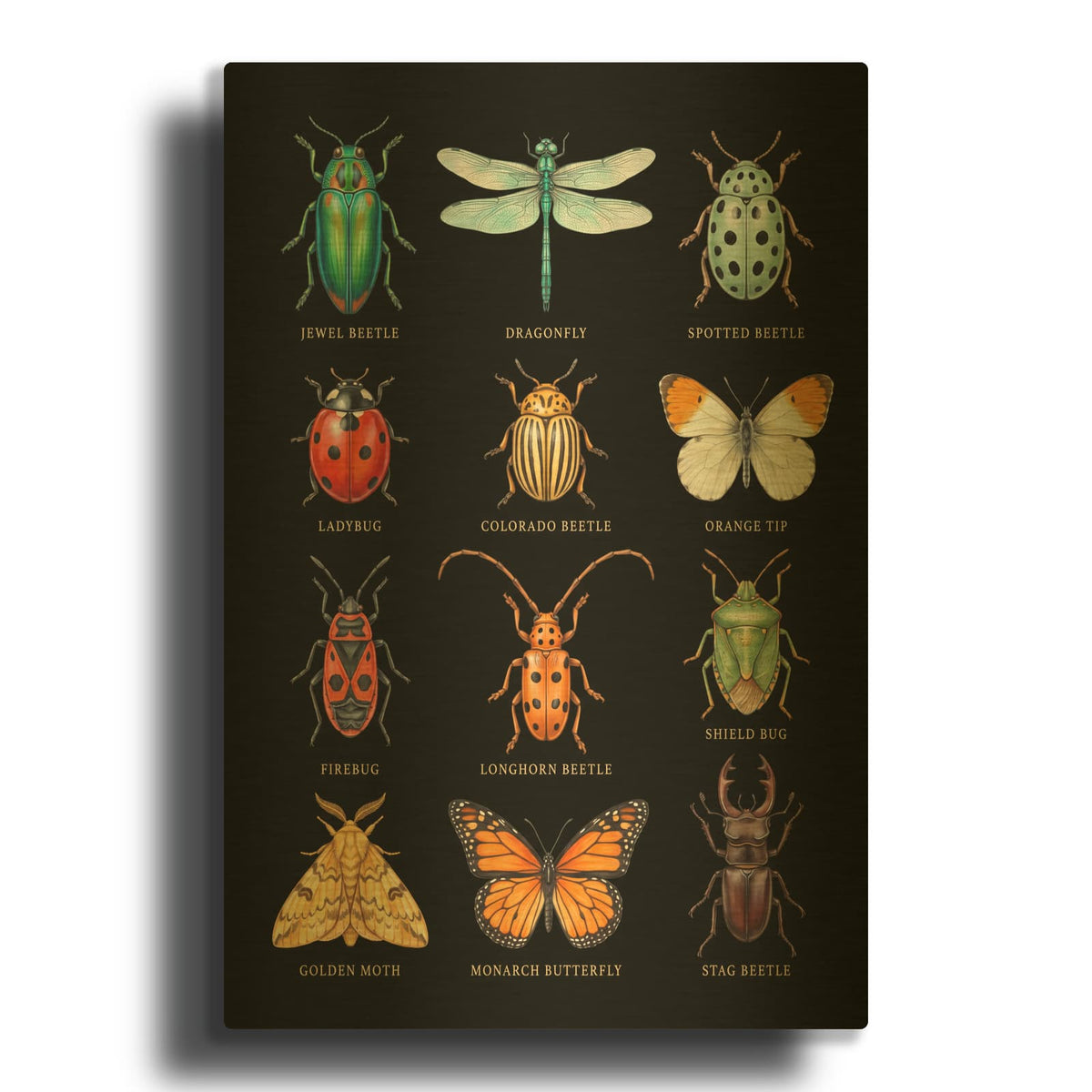 'Jewel-Toned Insect Collection I' By Veve Gold Metal Wall Art