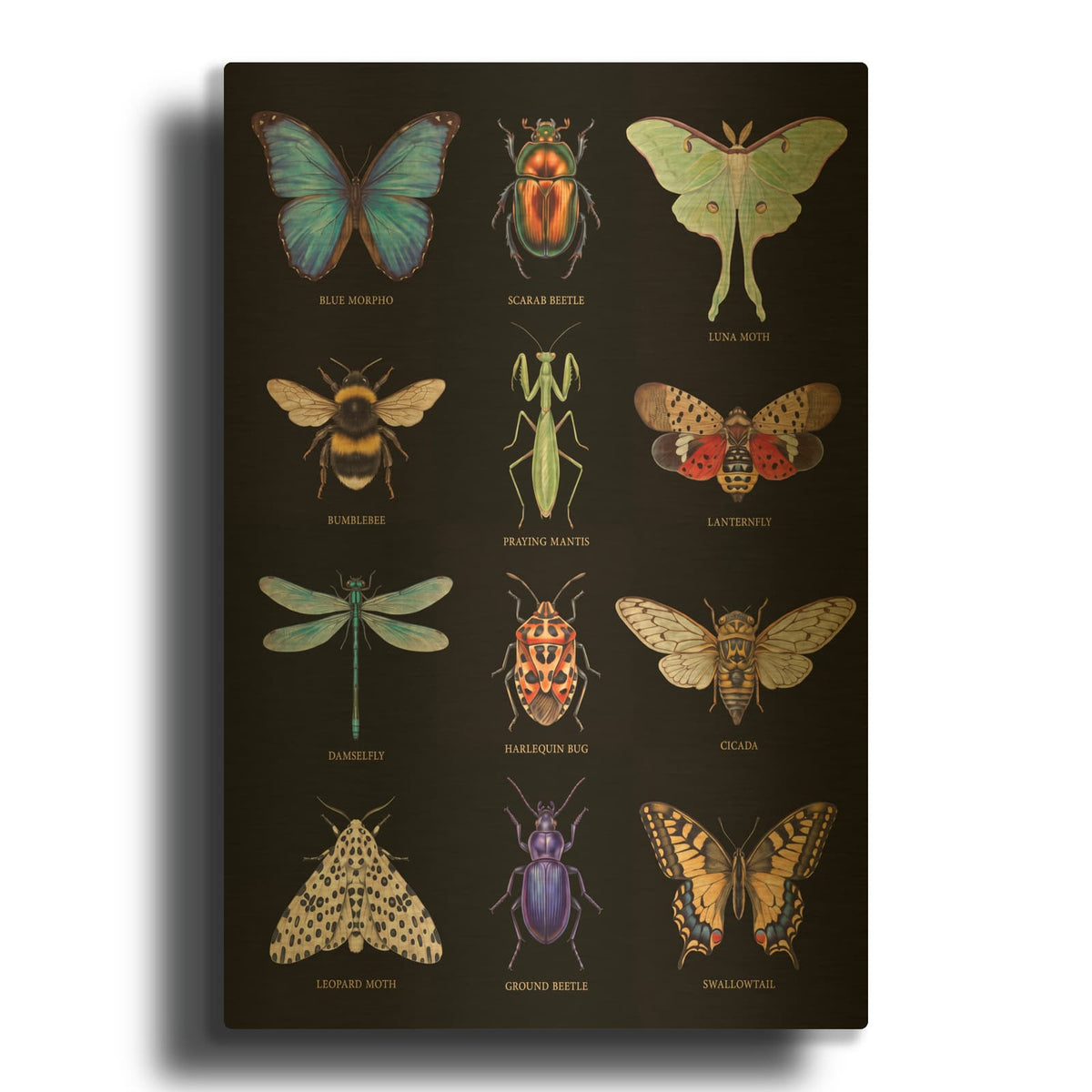 'Jewel-Toned Insect Collection II' By Veve Gold Metal Wall Art