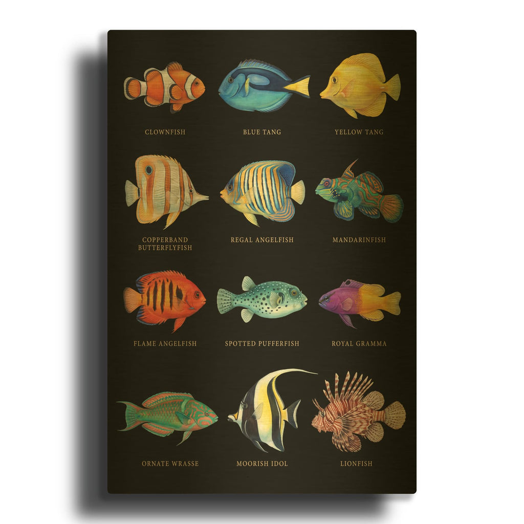 'Jewels of the Reef - Tropical Fish Collection' By Veve Gold Metal Wall Art